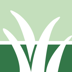 Lawn Fertilizing Service Pros