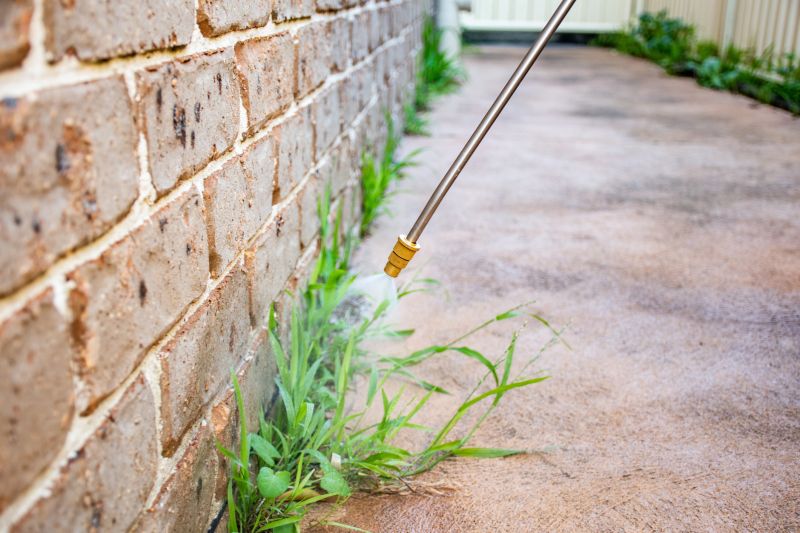 Lawn Herbicide Treatment in Ventura County, CA